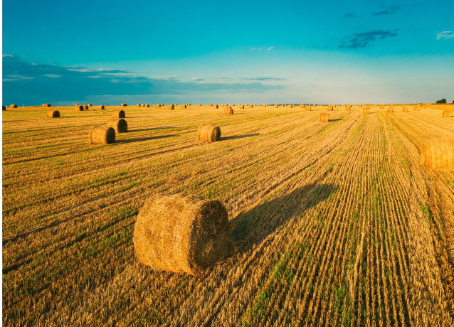 Lombardini Agricoltura Mobile